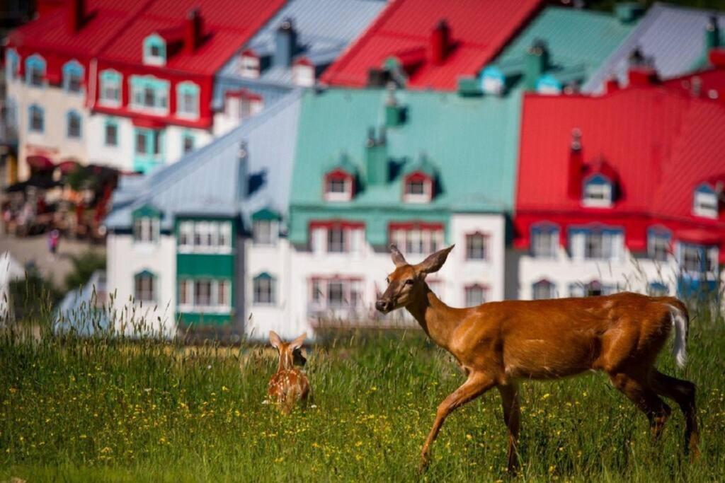 Deluxe Suite-Sur-Lac Superieur - Tremblant Versant Nord エクステリア 写真